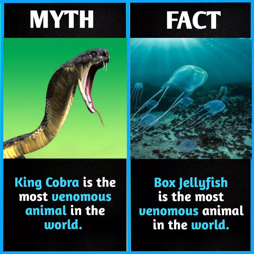 Myth vs Fact (@MythvvsFact) on Twitter photo 2024-05-03 09:25:11