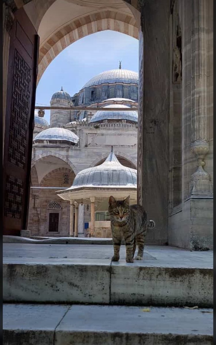 Hakkın kuvvette degil,kuvvetin hak’ta olduğu bir dünya niyazi ile hayırlı cumalar.... Şehzade paşa cami 🐈