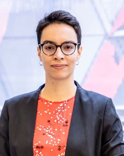 Meet @JCrespinBoucaud, our postdoctoral fellow, sub-Saharan Africa expert and the main force behind the design of our data collection process and its transformation into a user-friendly dataset. 📰 Read our interview with her here: ethnicgoods.org/new-interview-…… @ERC_Research @IBEI