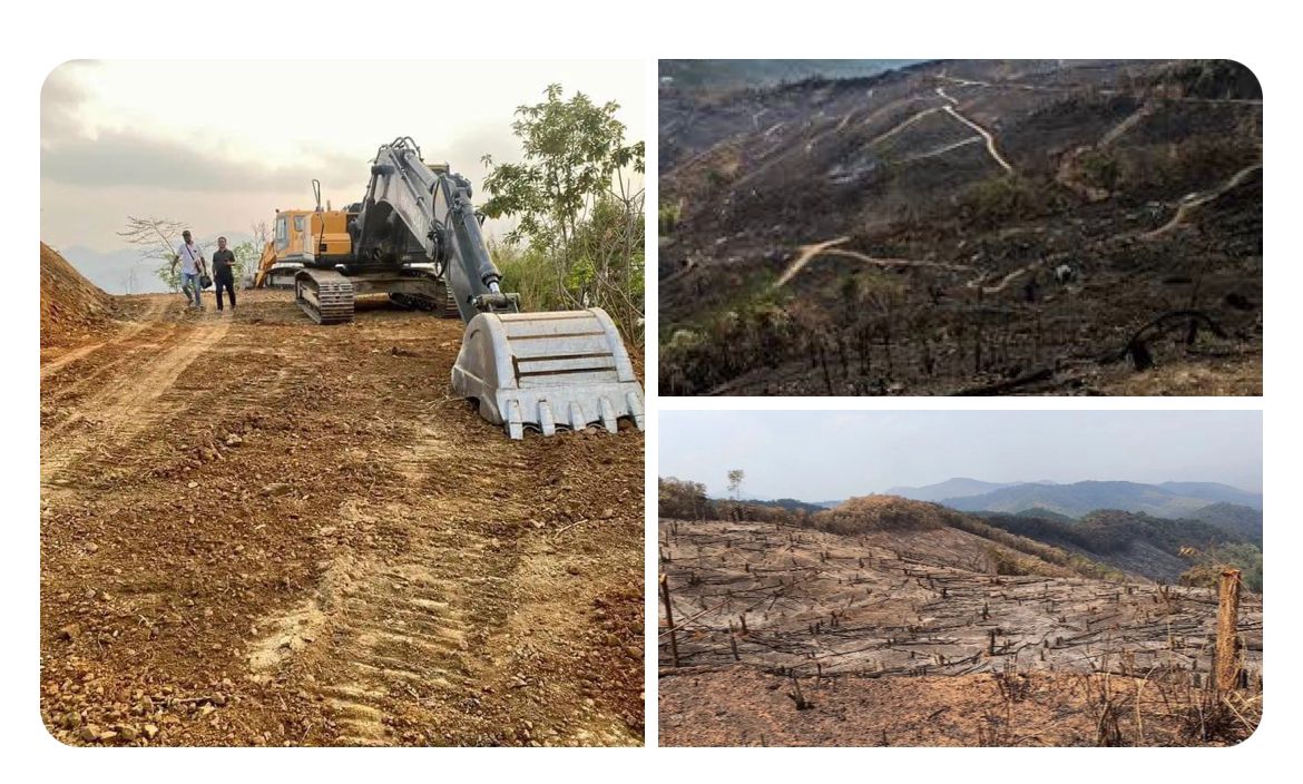 1 Year Today – Call4Justice
#KukiEngineeredManipurViolence
#KukiAtrocities
#KukiWarCrimes
This is how the vast area of forest has been cleared and burn down by the kukis for poppy cultivation and making secret drugs route.
#NoToDrug
#NoToPoppyCultivaton