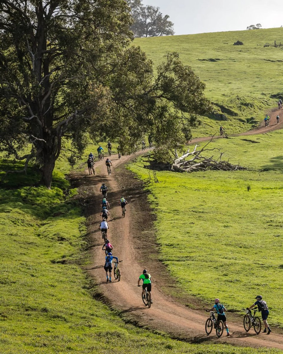 Push your limits with SEVEN, the ultimate cycling challenge in #AustraliasSouthWest 🚴‍♂️💪 Conquer breathtaking climbs & trails for an unforgettable experience in one of WA's most popular off-road events! On 10-12 May in #WAtheDreamState bit.ly/3UcrLYJ