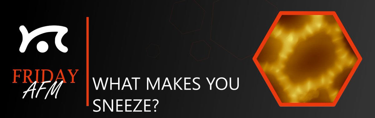 In today's #fridayAFM Hector looks at what makes you sneeze. #bioAFM #DriveAFM #WaveMode #CleanDrive More details at: hubs.la/Q02vYhlf0