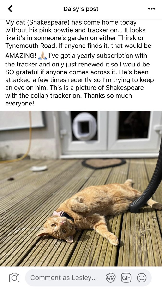 Has anyone found a pink cat track collar around Thirsk Road Tooting SW17 London . Is showing on the app as being there . Cat returned without it. Not my cat CATS OF TOOTING page.