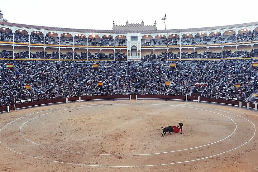 📊 ¿PROHIBIRÍAS la TAUROMAQUIA? 🔄 SÍ ❤️ NO