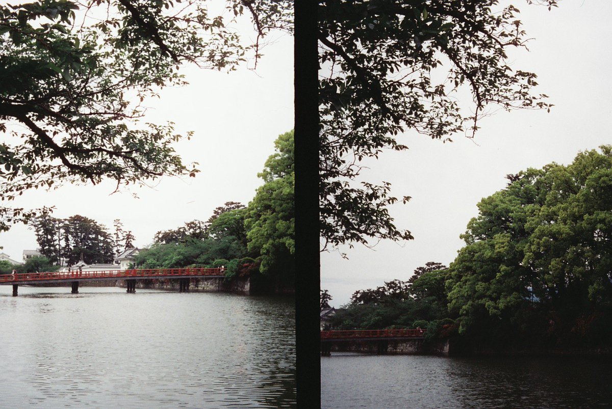 小田原城界隈スナップ📸
トコトコ早く歩く鳥さん可愛かった🐦
#olympuspenees2
#MARIX400D 
#filmphotography 
#ハーフカメラはいいぞ
#カメスズ