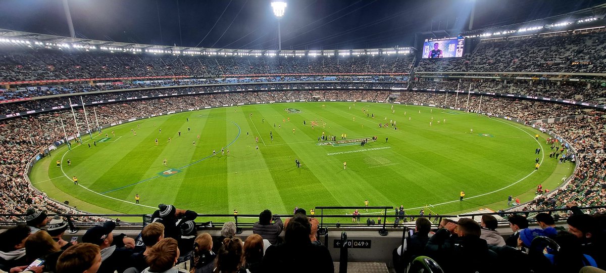This'll do! #GoPies