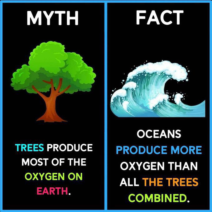 Myth vs Fact (@MythvvsFact) on Twitter photo 2024-05-03 09:35:02
