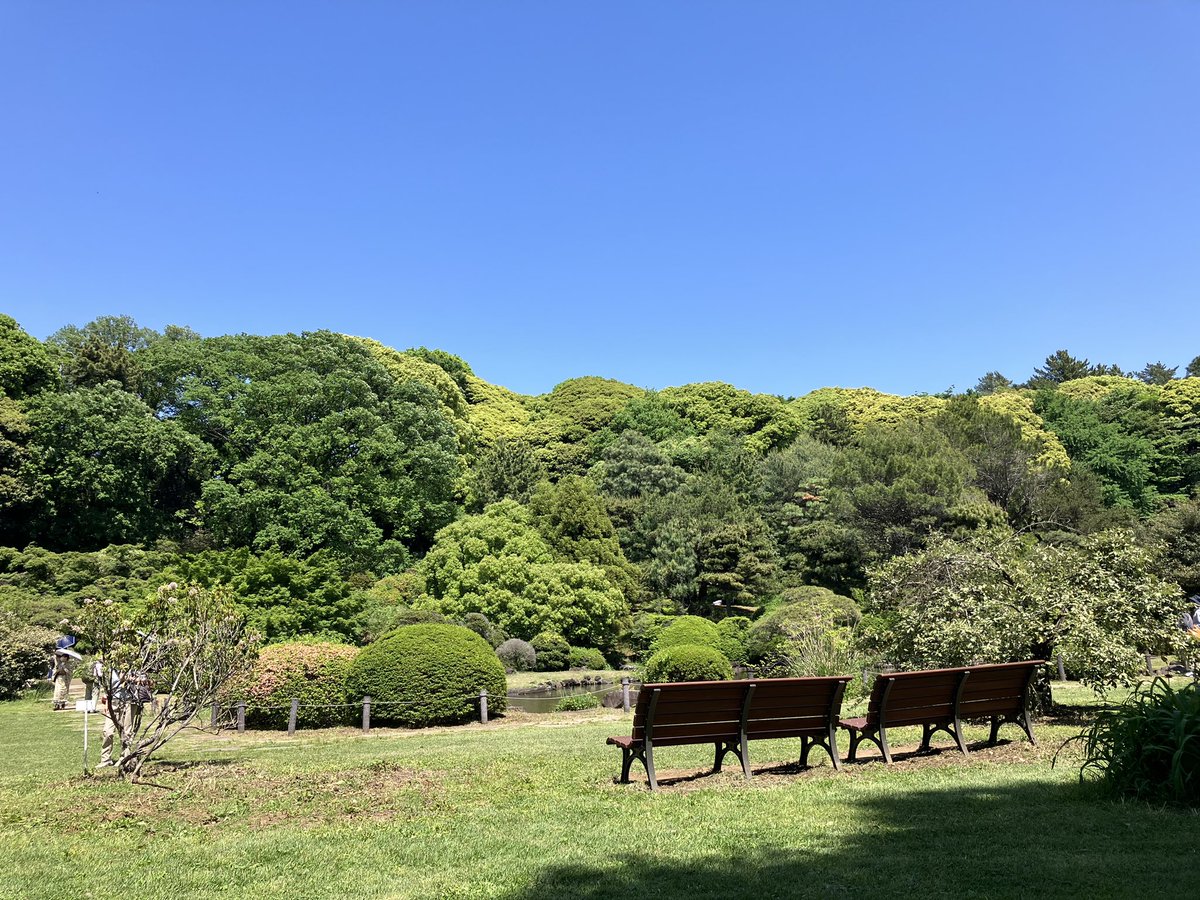 小石川植物園ピクニックするにはとても良い