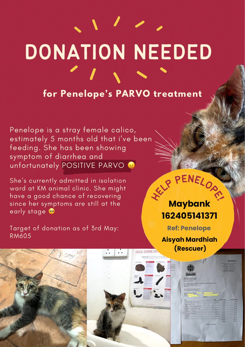 koraaaang, i nak minta tolong. i rescue kucing yang selalu datang rumah i ni nama dia Penelope. muda lagi dalam 5 bulan tapi baru check vet tadi dia kena parvo 😖 sekarang admitted for 3 days dulu. hopefully dia cepat sihat 🥺 vet bill dia i attach kat bawah 👇🏻