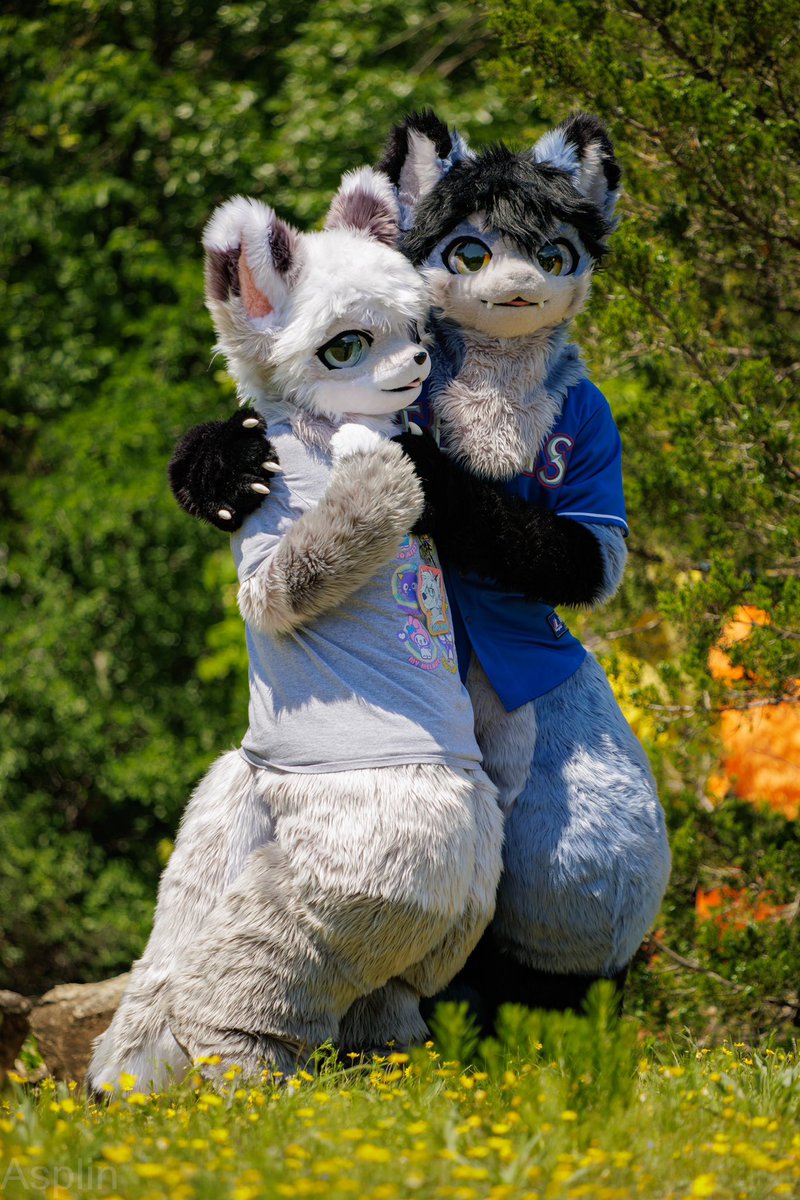 imagine the two of us as a duo hero. wouldn’t that be so cute?

#FursuitFriday 

🧵: <a href="/MofuMofuFursuit/">mofumofufursuitstudio</a> 
📸: <a href="/asplinduh/">Asplin</a>