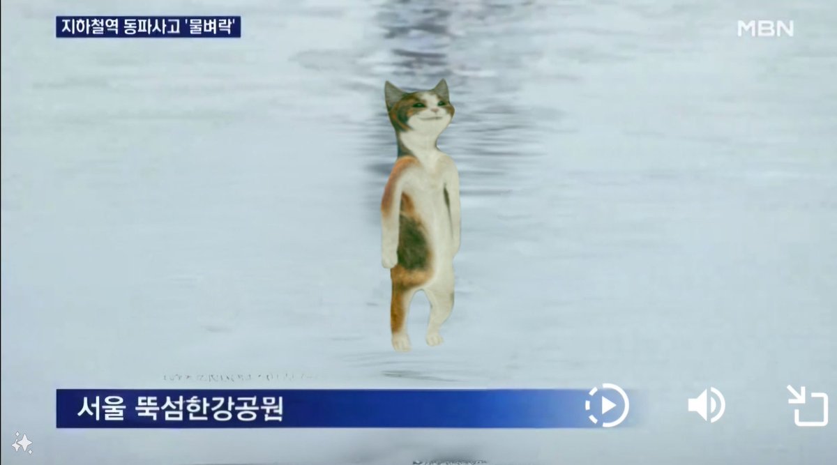 꽁꽁 얼어붙은 한강 위로 발냥이🐱가 걸어다닙니다