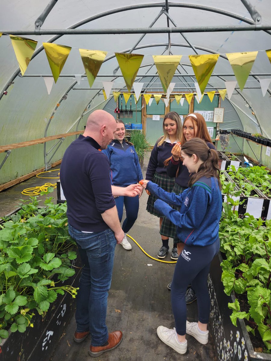 Colaiste_Bride's tweet photo. Some of our 5th year students offered a great helping hand to Mr. White who has been working hard behind the scenes in our school garden this morning, tasting some of our homegrown organic strawberries 🍓#WWGS #sustainablity #schoolgarden #SchoolPolytunnel https://t.co/9690nyCtuO