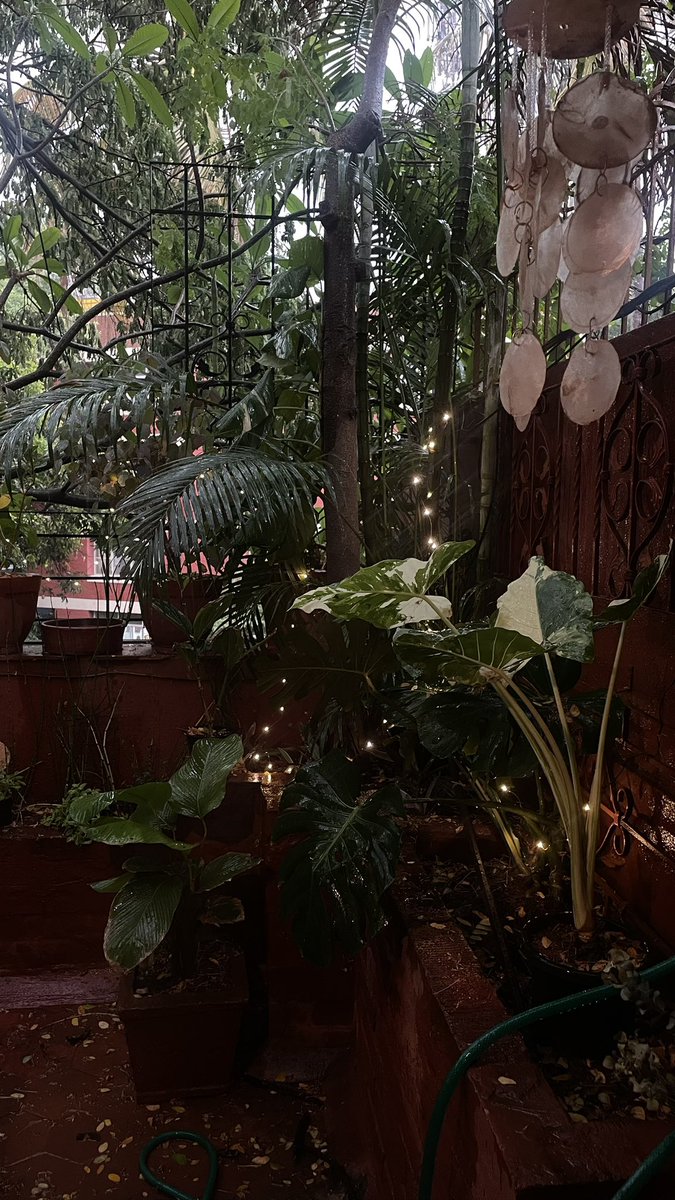 anush_ree's tweet photo. the rain just washed away all the motivation I had to work today https://t.co/D4hwzyiJk5