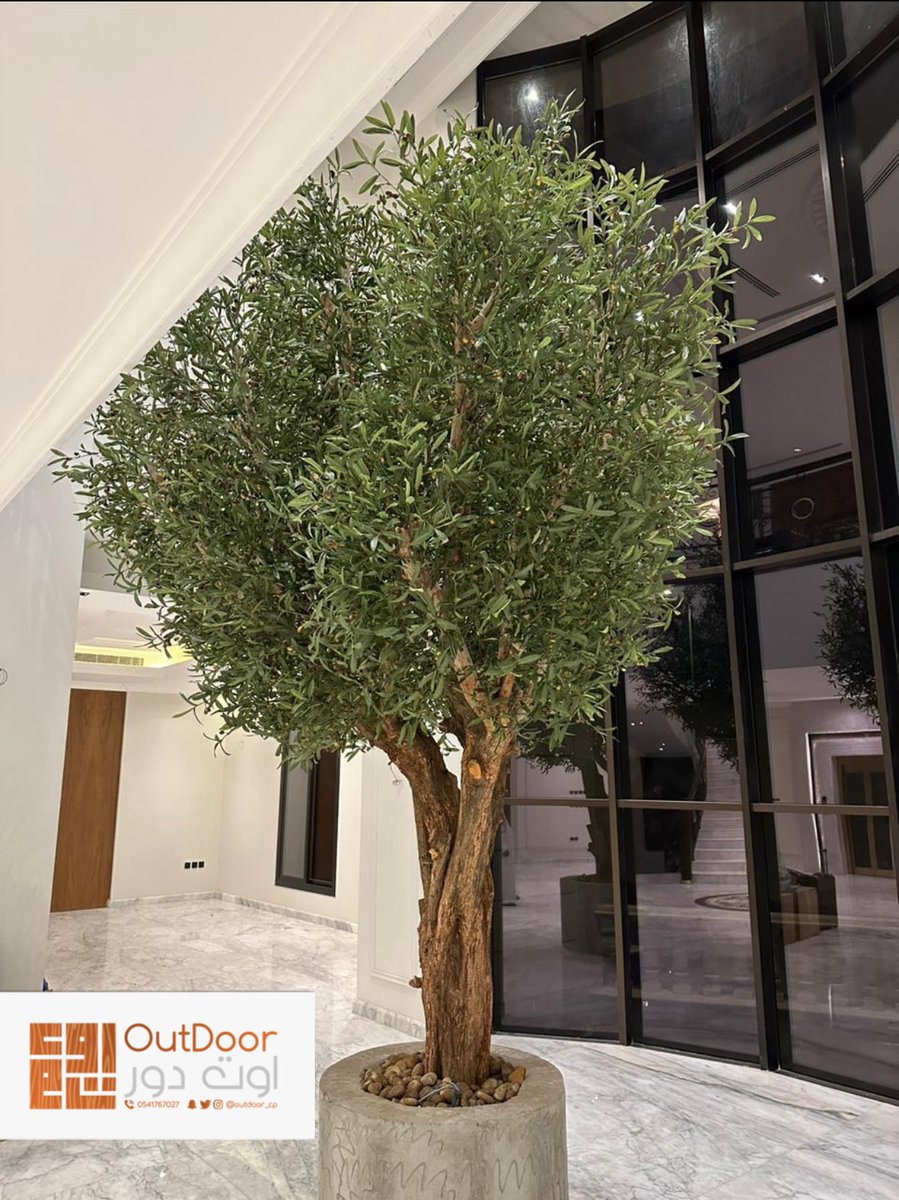 outdoor_cp's tweet photo. اشجار الزيتون جذع طبيعي وورق صناهي مطابق للطبيعه ، يعطي المكان روح وفخامة وجمال ، للاستفسار التواصل على الواتساب ، https://t.co/cCh7t0F2Qe https://t.co/zkJSknWysO
