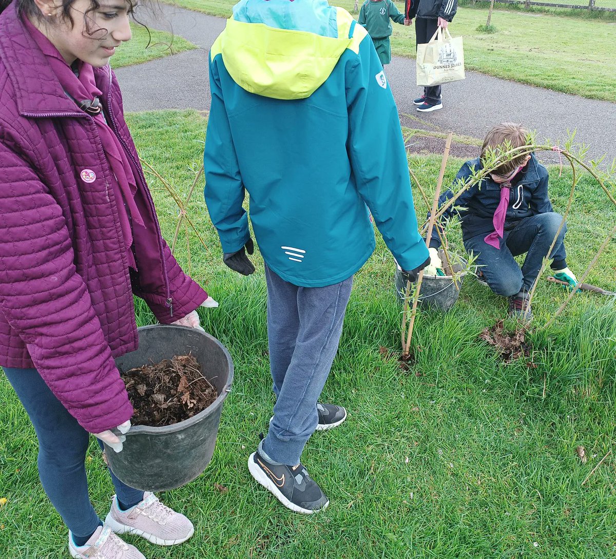 Exciting evening with @2ndCork Learned about our leaf mulching project, fed our garden with mulch, and explored sensory plants! 🌿 #CommunityEngagement #EnvironmentalEducation #TidyTowns #Ballyphehane