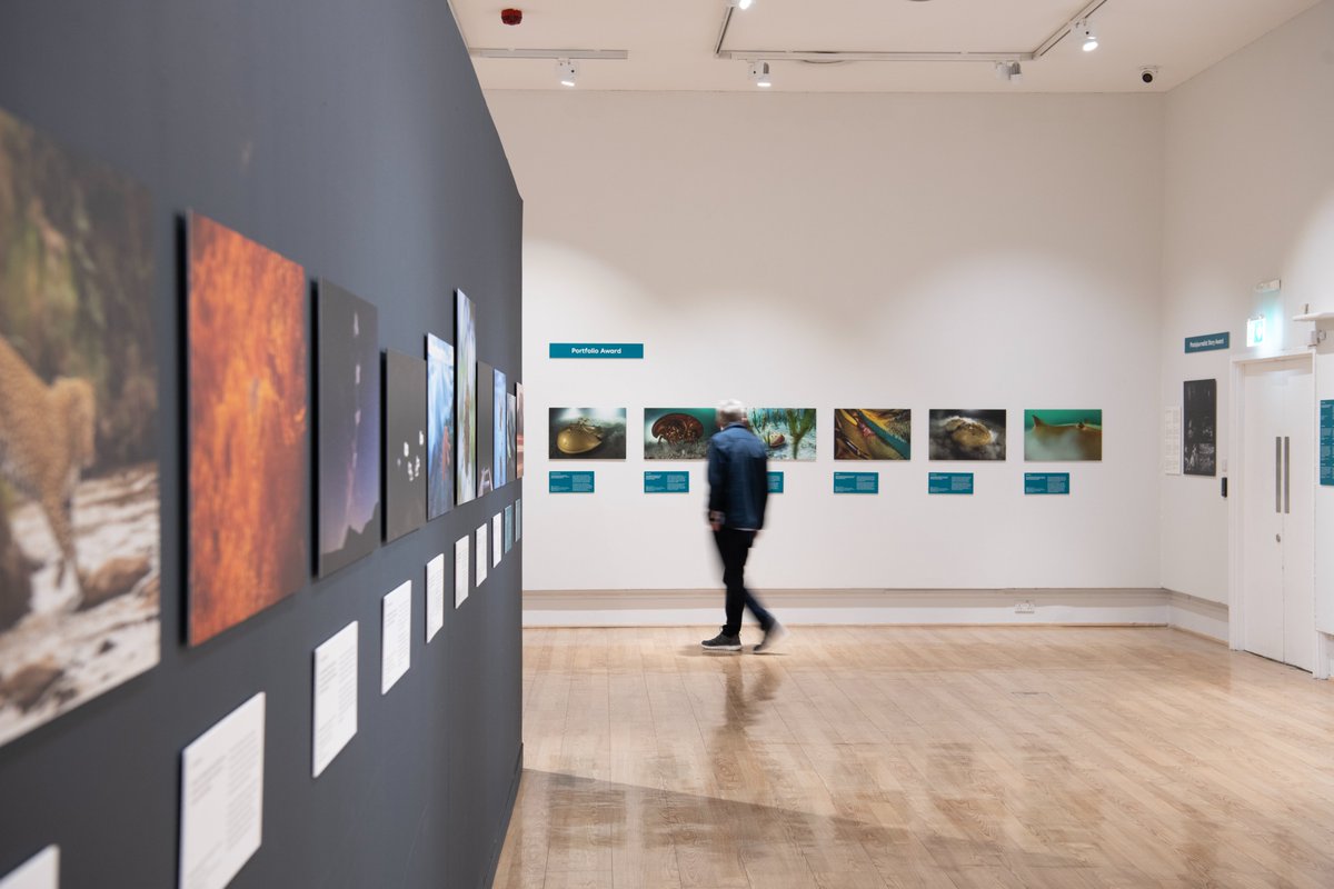 There's a month left to visit our @NHM_WPY exhibition, on loan from @NHM_London. The exhibition is free to visit and open until Saturday 1 June. Plan your visit at sunderlandmuseum.org.uk. 📷 Colin Davison