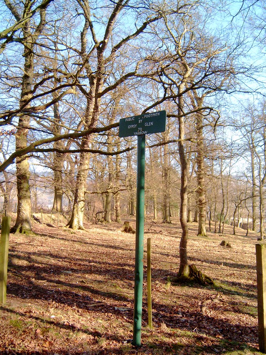 Keeping our #ScottishHillTracks theme going, this #FingerpostFriday sign is from Section 2 Central and South-West Borders of the book. Sadly it's now gone.