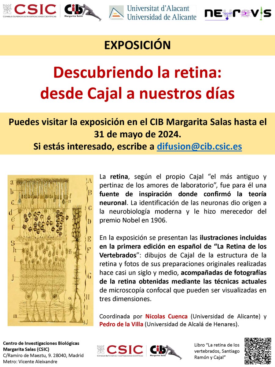 'Descubriendo la retina: desde Cajal a nuestros días'. Esta exposición incluye ilustraciones de Cajal y fotos de sus preparaciones originales, además de fotografías obtenidas mediante técnicas actuales de microscopía. En el @CIB_CSIC hasta el 31 de mayo 👉 csic.es/es/agenda-del-…