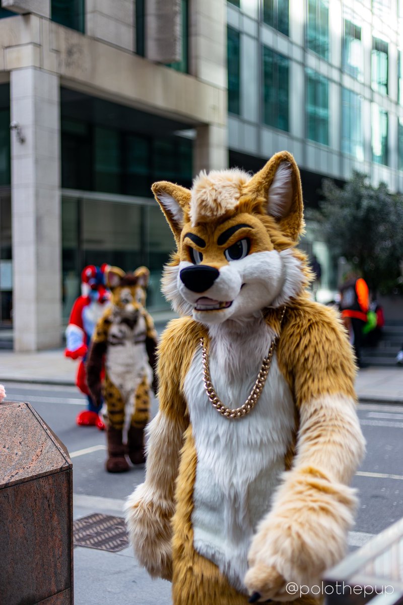On my way to ________ #fursuitfriday 📸 @polothepup