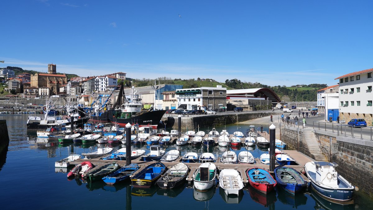 ⚓️🎣 En el marco del Antxoa Eguna de Getaria hoy se han dado a conocer los datos relativos a la pesca de anchoa y verdel: hasta el 30 de abril se han descargado en los puertos de Euskadi cerca de 7 millones de kilos de anchoa y 9,1 millones de verdel, y la evolución de la costera…