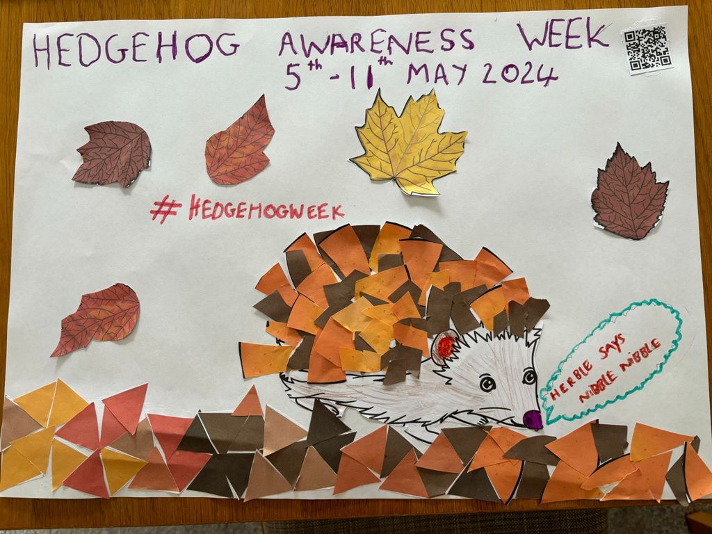 It's almost here! #hedgehogweek runs 5-11 May 🦔 ‘Welcome Wildlife!’ by creating space for #wildlife in your gardens or green spaces & encourage landowners to do the same! Poster by Ffion, 6, in Manchester Winner of our #HedgehogWeek design competition to be announced next week!
