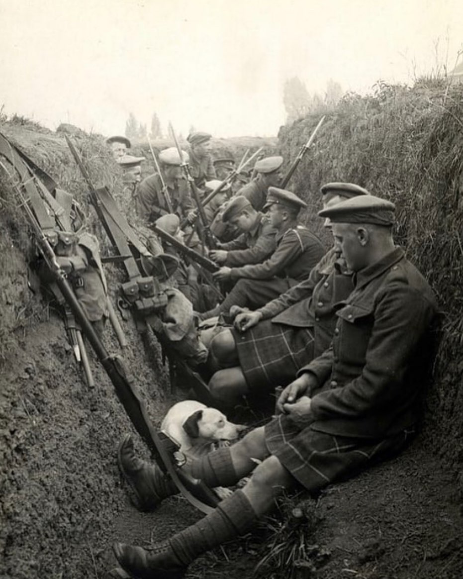 Men of the Seaforth Highlanders rest in a trench with a dog during WW1, 1915.