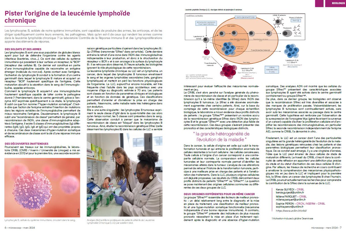 🗞️ Retrouvez l’article de nos chercheuses @SophiePeronC , Kenza Guiyedi et Milene Parquet dans le dernier Microscoop de la @DR08_CNRS (pages 6-7) ⤵️ 🔗 …ntre-limousin-poitou-charente.cnrs.fr/sites/delegati… @CNRS @CNRSbiologie @Inserm @InsermNA @unilim @OncosphereNA