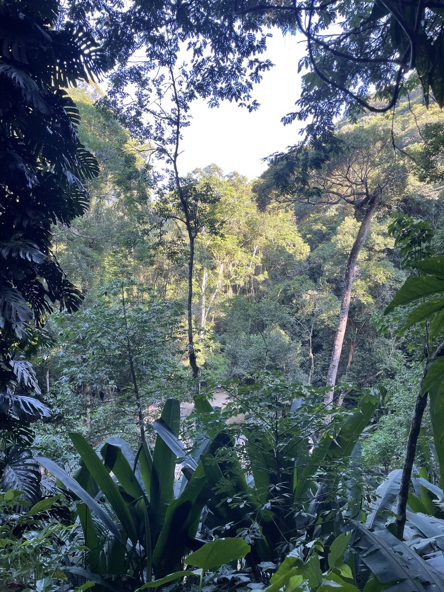 Join ⁦@poets4theplanet⁩ on Sunday 12th May at 2:30pm in the Poetry Tent, Calverley Grounds ⁦@theamelia_tw⁩ for all things environmental #litfest #tunbridgewells #poetry