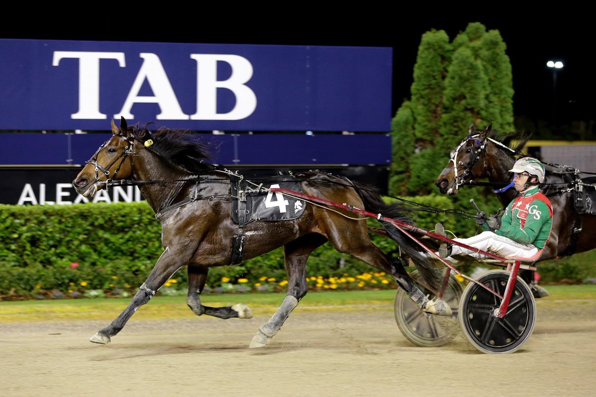 A bit lost about what else there is to say about this incredible racehorse who has graced our stable. Harry records another Group 1 win with a win in the National Trot at Alexandra Park. He sat in the death and did it the hard way. So proud. ❤️❤️ #justbelieve

📸 HRNZ