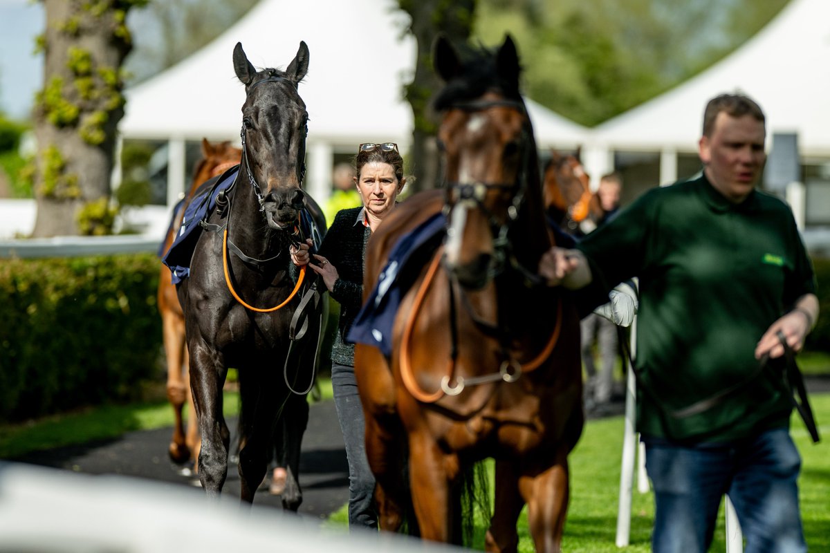 Great racing ahead of us on Monday 6th May, including 🐴 Shetland Pony Grand National approx. 1:50pm 🏇 7 flat races from 2:35pm 🏇 @ARO_Racing race after the final race Tickets from just £20 - windsor-racecourse.co.uk/whats-on/bank-…