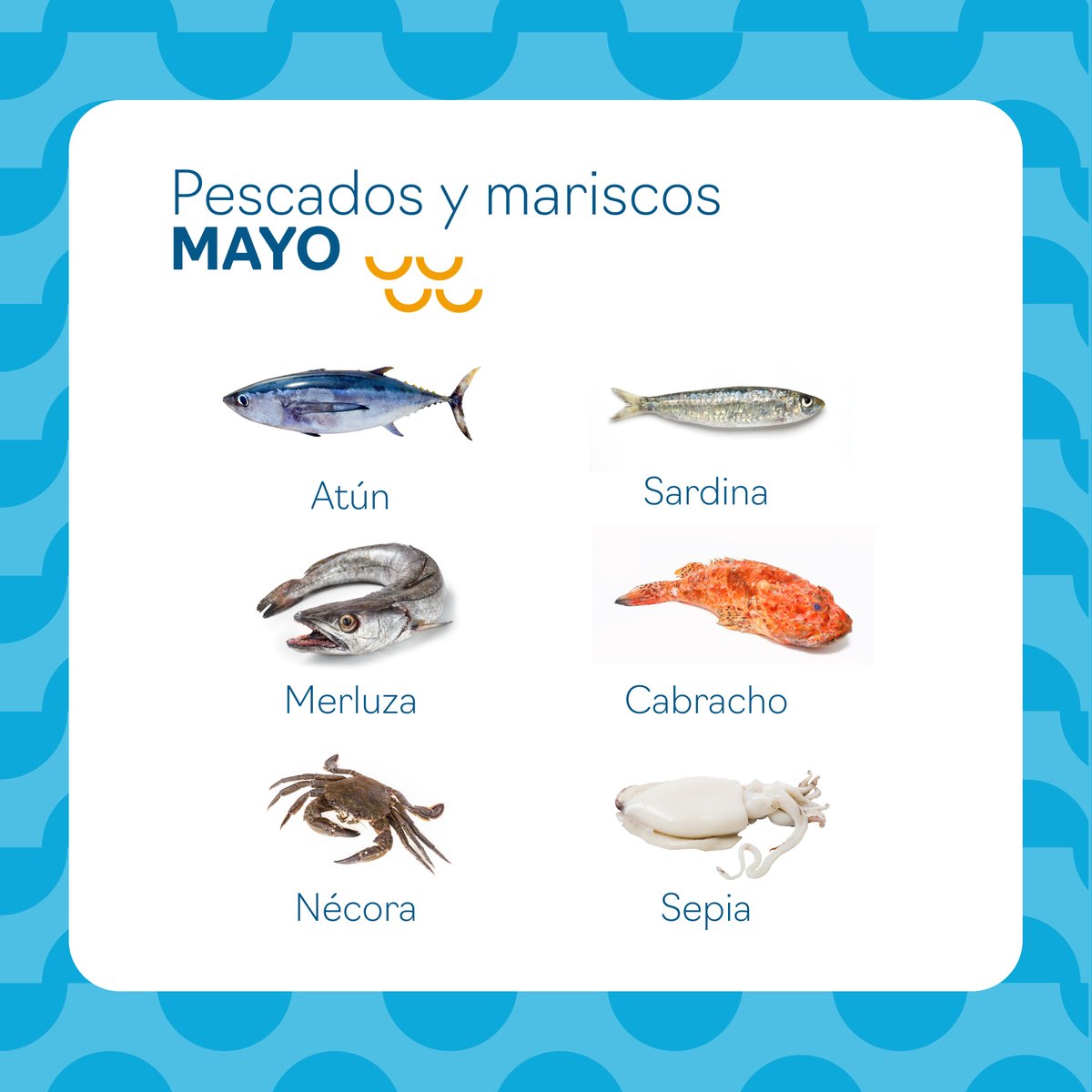 ¡PESCADOS DE #TEMPORADA DE MAYO! 

👉🏼 Estos son algunos de los productos del mar de este mes 🐟🦐 ¡#LlévatePescado y disfruta de su auténtico sabor! Y tú ¿te animas a preparar alguno?

#PescaEspaña #FuenteDeFelicidad #NutriPesca