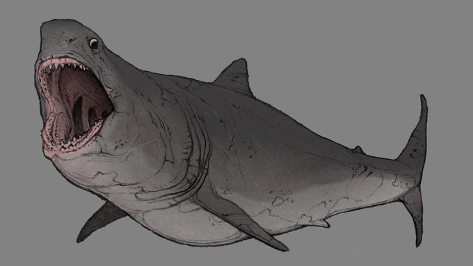 「animal focus shark」 illustration images(Latest)