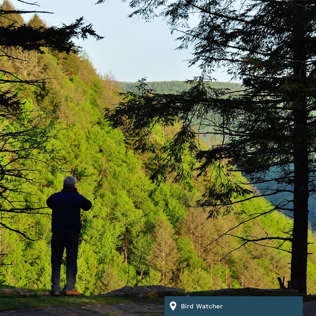 The History Project takes us back to WV’s origins. Take a jet boat tour of the New River Gorge. And plan a cozy cabin stay at @WVStateParks. #YesWV @wvdach @wvexplorer @wvtourism - on today’s daily304. Listen here. bit.ly/3Qvaibv