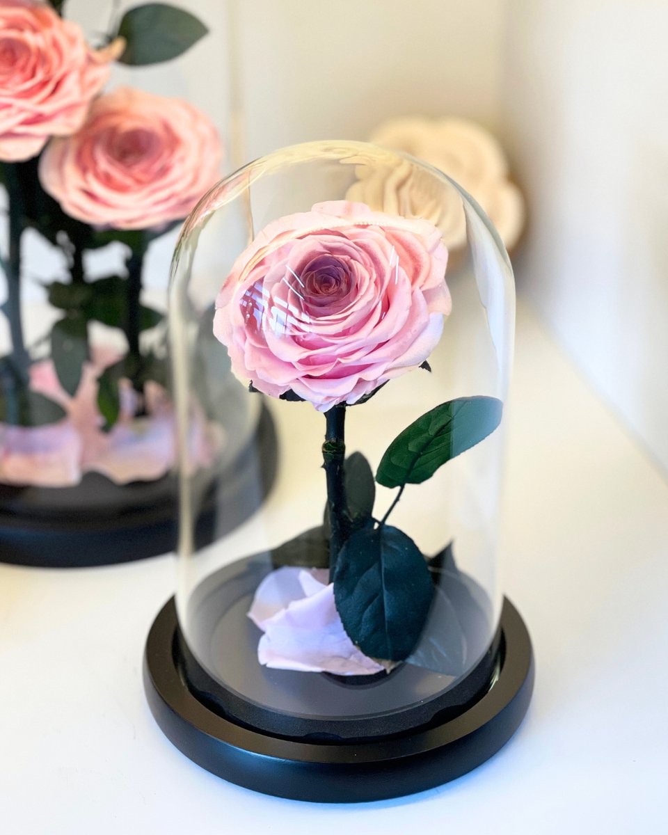 Soft pink blooms for a mom who's as gentle as she is lovely. Celebrate her tender love with flowers that mirror her warmth and grace. 💖🌸 #GentleLove #LovelyMom #MothersDayFlowers #FloralGifts #PinkBlooms #SayItWithFlowers #BouquetForMom #MothersDayGiftIdeas #MothersDay2024