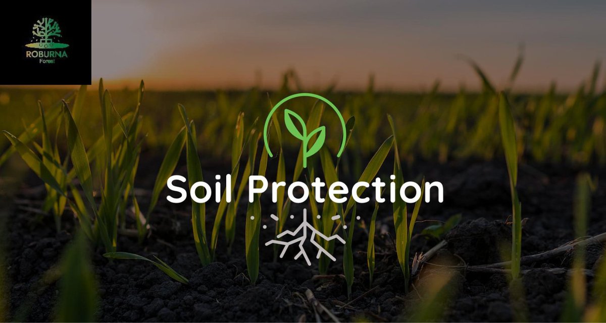 Discover ways to stop #SoilPollution:

- Dispose of waste responsibly
- Say no to disposable plastic
- Recycle more often
- Think about new electronics' impact
- Choose eco-packaging
- Use green household items
- Begin composting food scraps.

Join Us in #ProtectingOurSoil! 

#RF