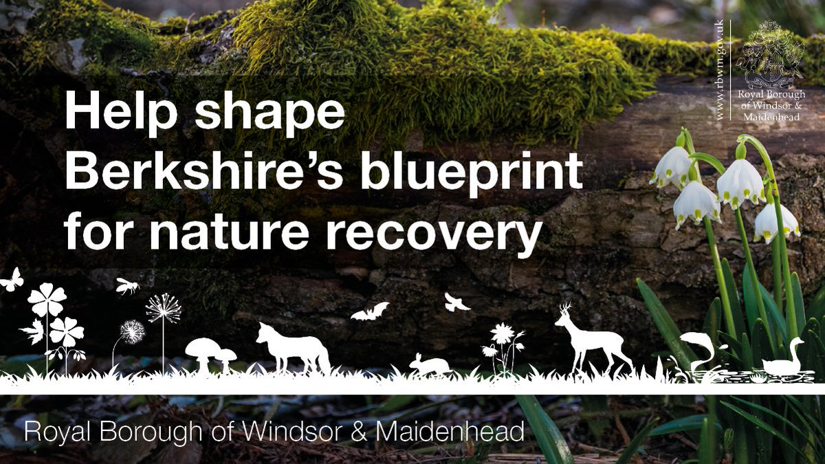 🌳🦊Reminder: Take part in our county-wide survey, running until 7 May, to help shape vital plans for protecting and improving our natural habitats in Berkshire. It's a great opportunity to influence Berkshire’s blueprint for nature recovery.👉orlo.uk/5KJvs