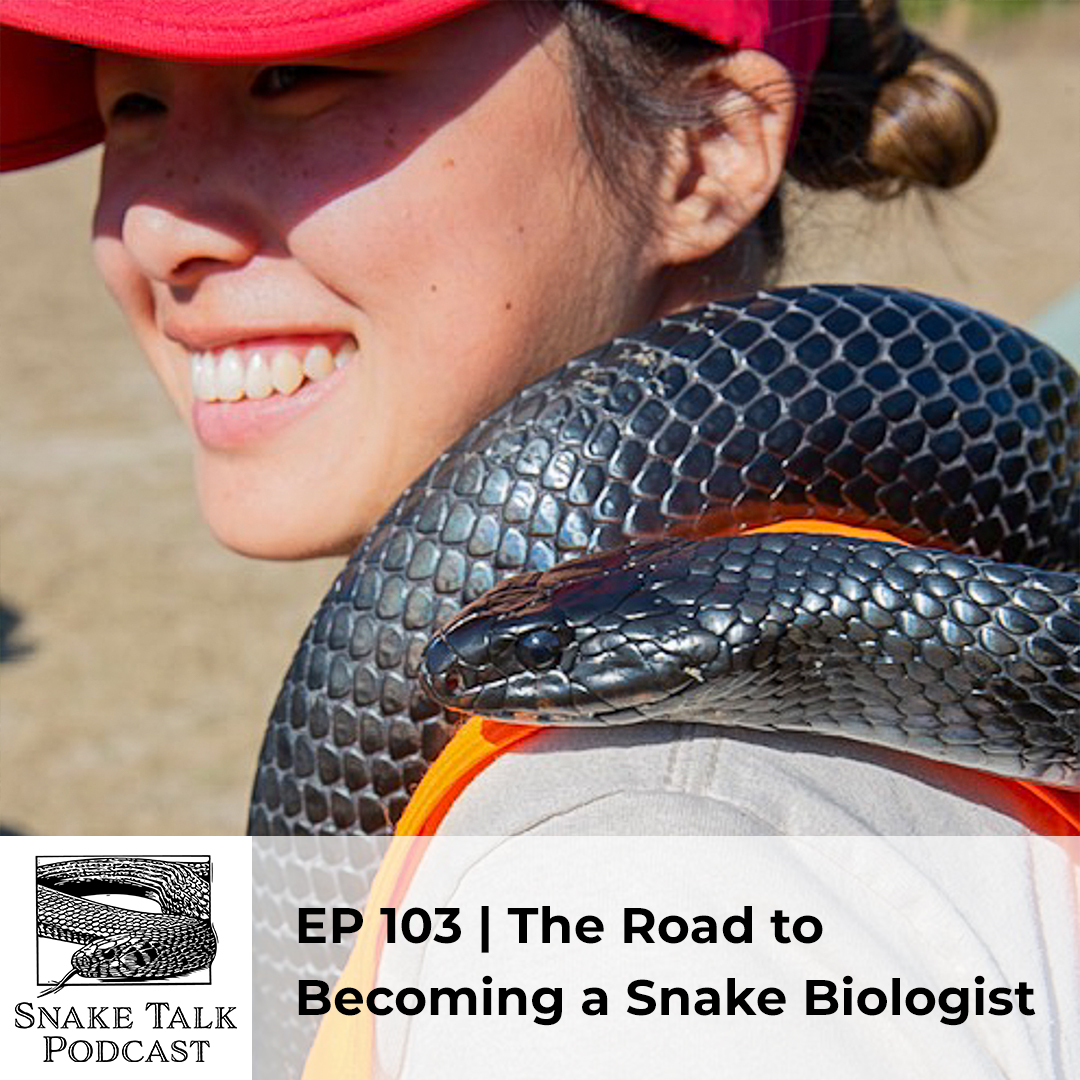 Dr. Jenkins sits down with Peyton Niebanck to discuss the lengthy journey toward becoming a #snake #biologist. Peyton, a technician with The Orianne Society surveying indigo snakes, shares insights from the early stages of her career. Listen in: oriannesociety.org/snake-talk/