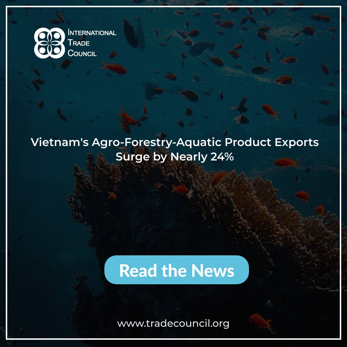Vietnam's Agro-Forestry-Aquatic Product Exports Surge by Nearly 24%
Read The News: tradecouncil.org/vietnams-agro-…
#ITCNewsUpdates #BreakingNews #VietnamExports #AgroForestryAquaticProducts #EconomicGrowth #TradeSurplus #MarketExpansion