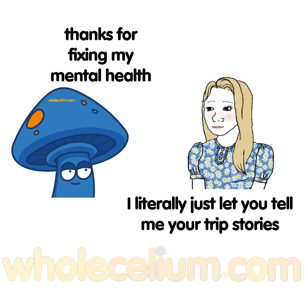 Tell me your most memorable psychedelic trip story! #psychedelics #memes #mentalhealth