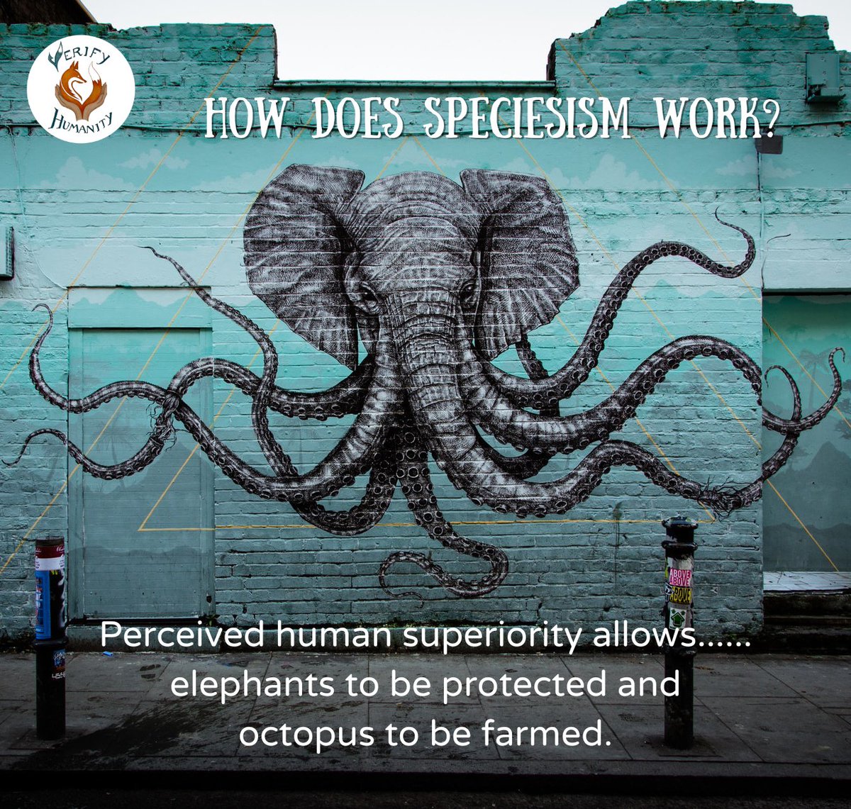 🐙 Are you a speciesist? 🐙                     

Have you become a casualty of #speciesism? Read our article to see why #octopus are amazing. 
Sign this #petition to protect octopus. 

Sources
Photo by Paolo Bendandi from Unsplash