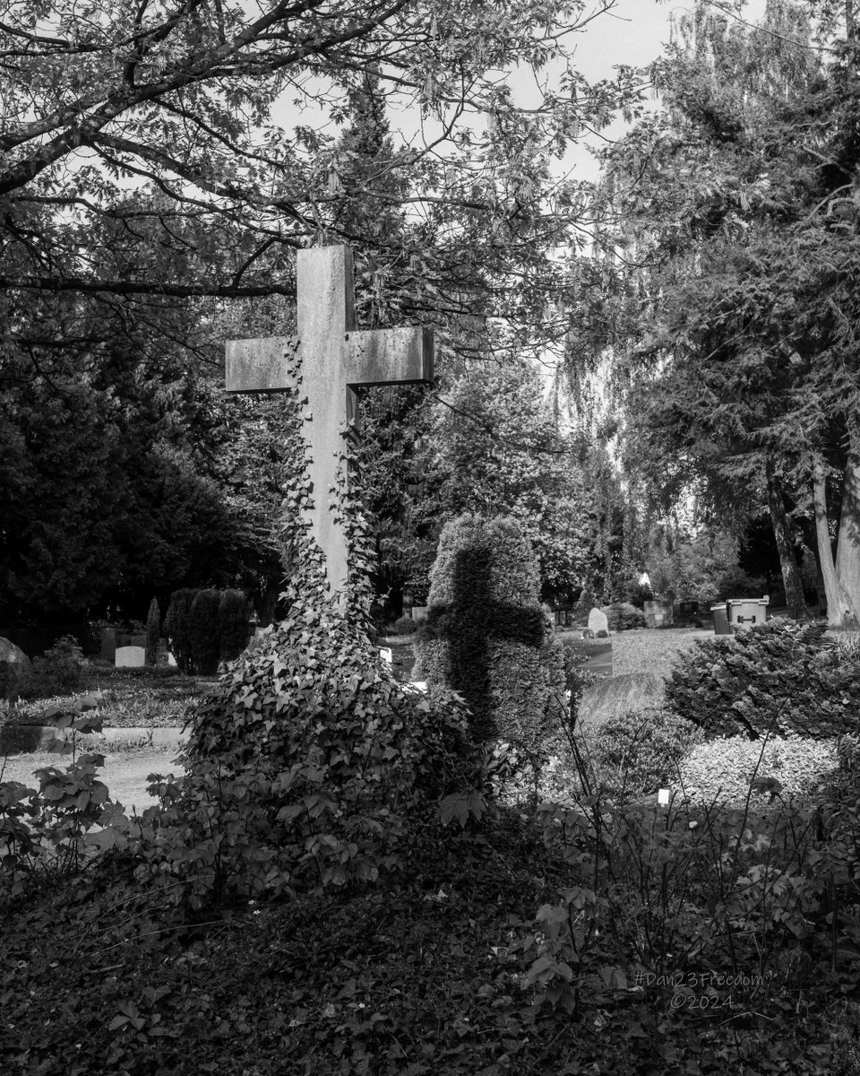 📷 1/320 sec at f/8,0, ISO 200, 40 mm prime #dan23freedom
#germany #nordrheinwestfalen #blackandwhitephotography #monochrome #blackandwhite #bnwmood #tree_magic