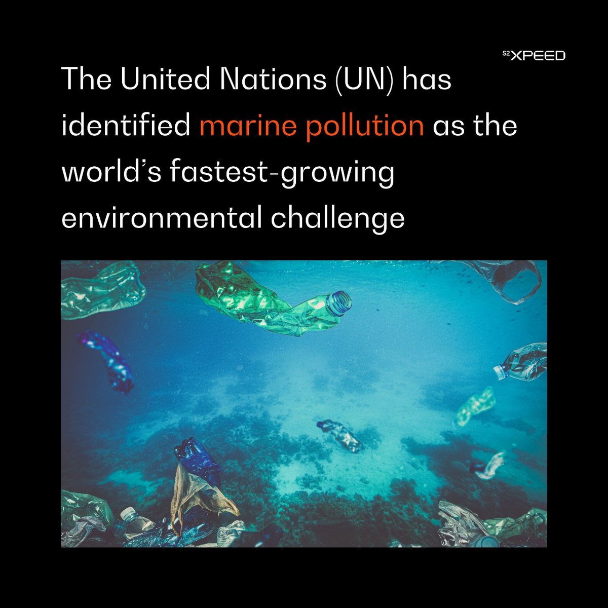 S2 Xpeed tweet media