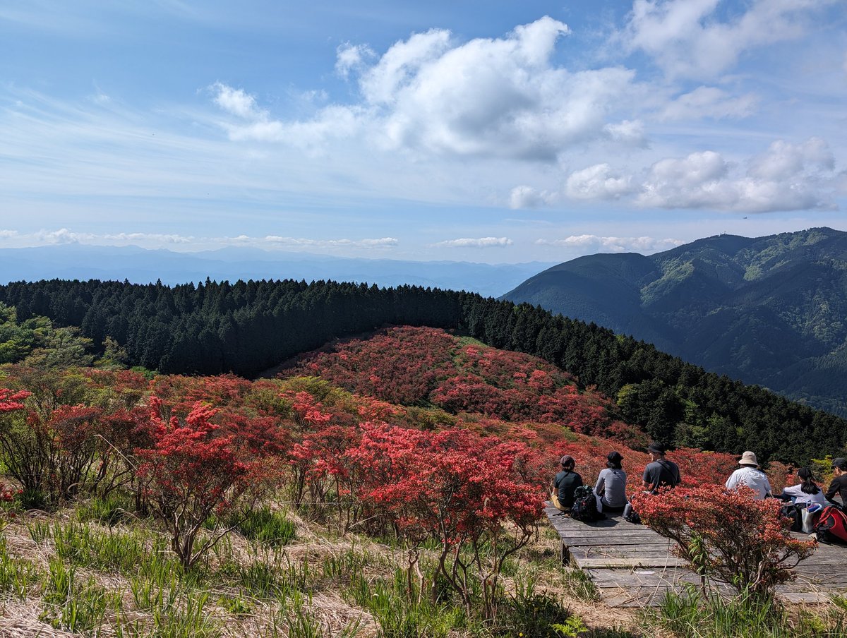 giantwoods2's tweet photo. ちょっと早かったかな？でも、まあ綺麗でした。見頃は5/5頃かな？
#葛城山  #ツツジ https://t.co/cl5GU8nzbH