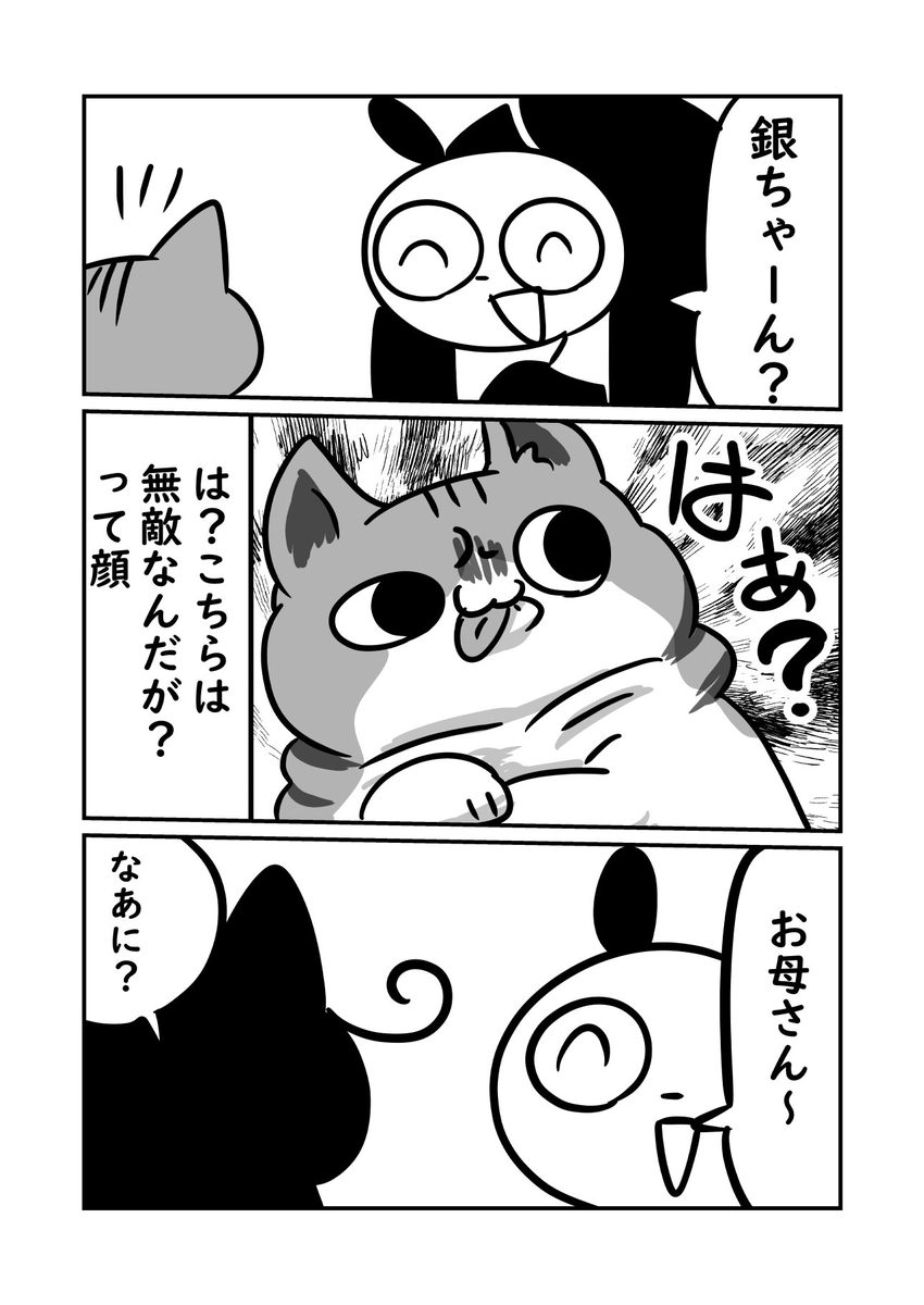 実家猫達の話 銀ちゃん②
 オワリ! 