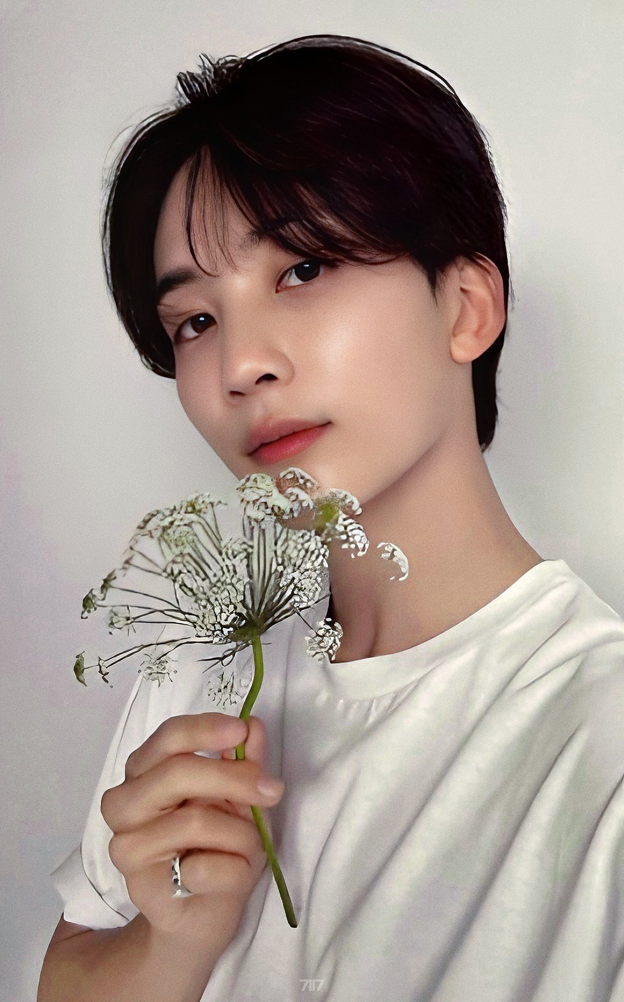 SEVENTEEN SVT JEONGHAN RIGHT HERE WORLD TOUR IMAGE PICKET