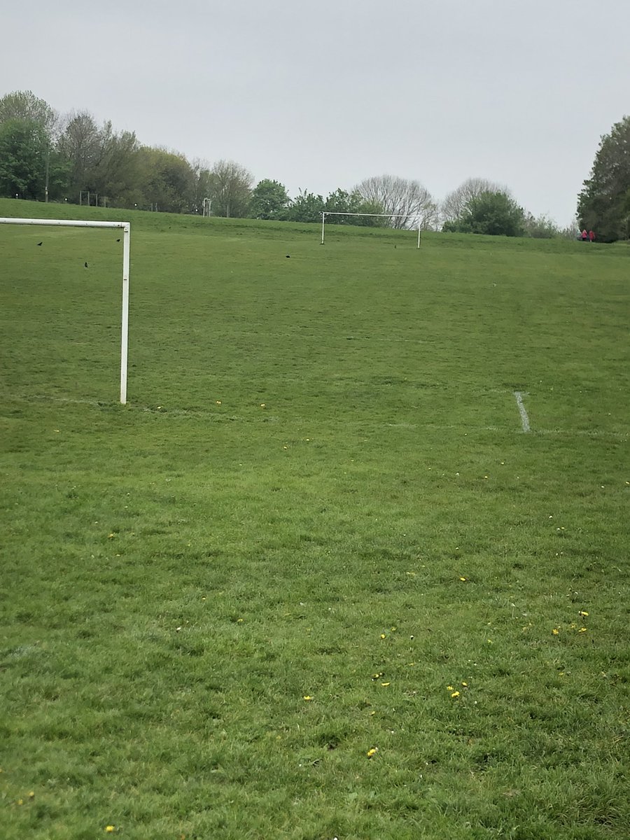 jonnyharrison21's tweet photo. DSH arena ready for the visit of @NewhallUtdFC Saturday 2pm https://t.co/8KF0iTMwTU