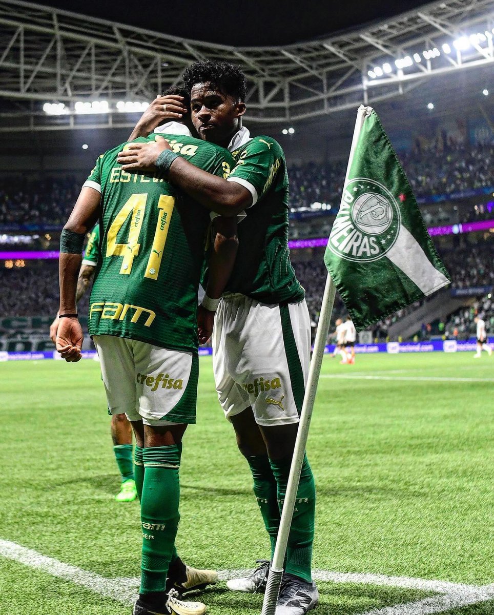 ZumbiPalmeiras tweet picture