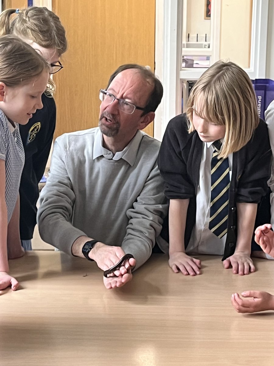 * Bug Club * The new Primary Bug Club led by Mrs Downes is proving to be very popular. On Wednesday, they had some visitors that joined them! @SRAPrimary