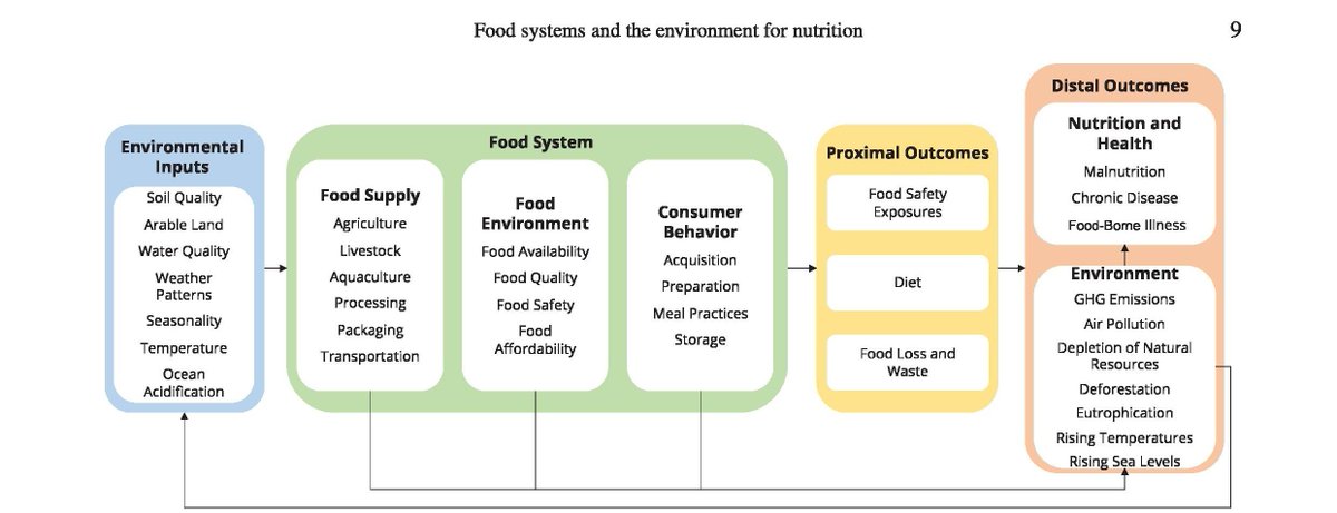 The evidence linking🔗 food systems, climate & nutrition is clear & ✊🏽now it's time to act. In this blog Leah Richardson lists actions that #foodsystems, #climatechange & #nutrition 🌱🌍communities can take to tackle barriers & coordinate action. Read: anh-academy.org/community/blog…