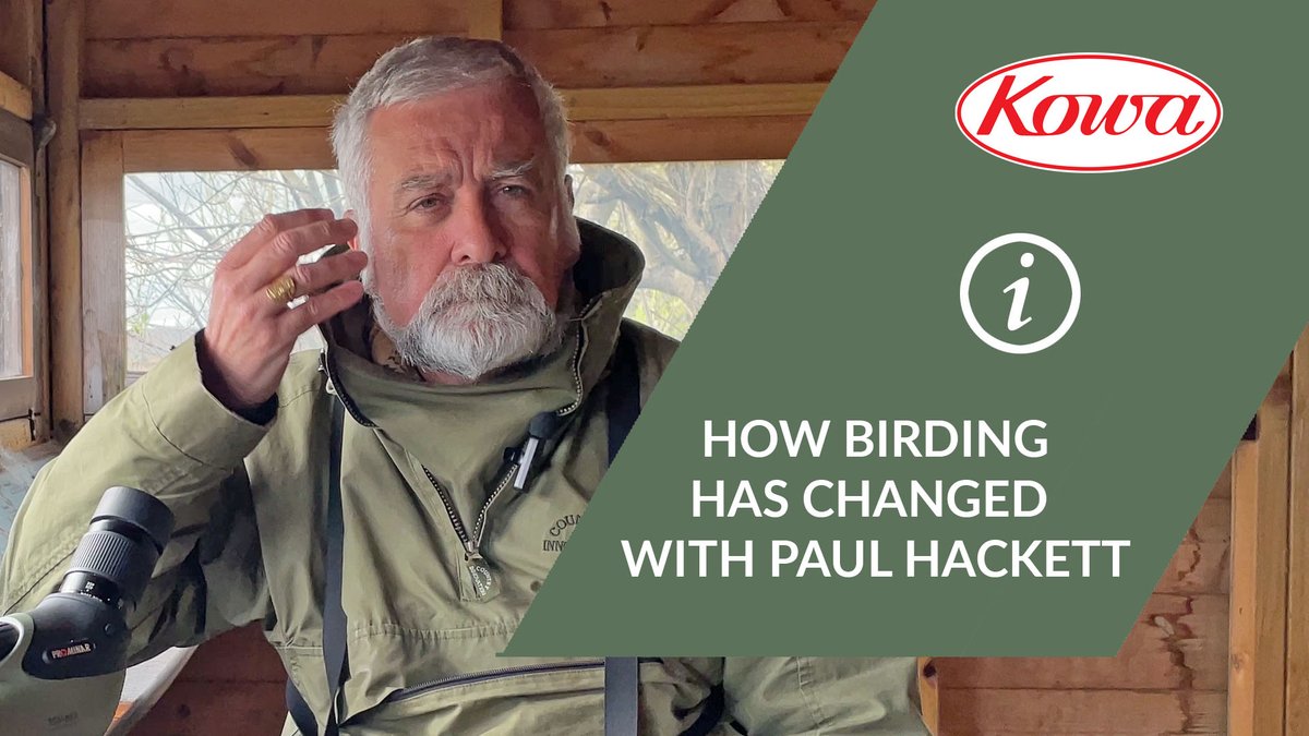 Some real talk with Kowa ambassador @PaulHdigiman - how has birding changed over the years? What are the new challenges, what are the chances? Watch here: bit.ly/4biLyew #KowaOptics #KowaAmbassador #Birding